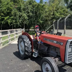 Tannaghmore Animal Farm - Craigavon