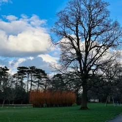 Goffs Park - Crawley