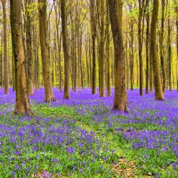South Downs National Park (near Crawley) - Crawley