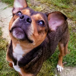 Southgate Park - Crawley