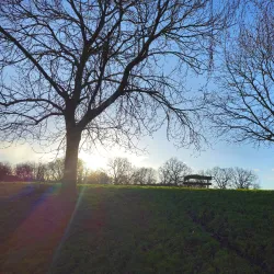 Southgate Park - Crawley