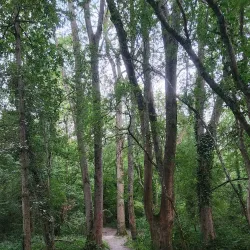 Southgate Park - Crawley