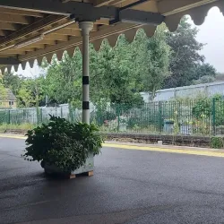 The Great Western Railway Walk - Crewkerne