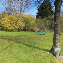 Cumbernauld Skatepark - Cumbernauld