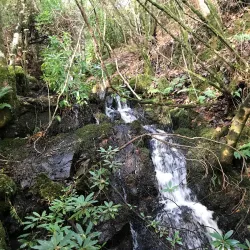 Ayrshire Coastal Path - Dalry