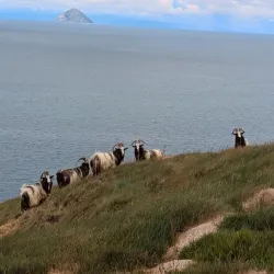 Ayrshire Coastal Path - Dalry