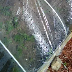 Dalry Golf Club - Dalry