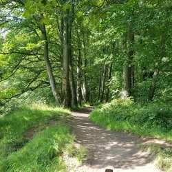 Dalry Golf Club - Dalry