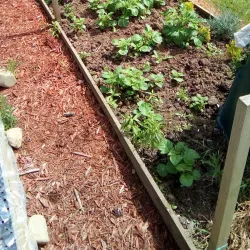 Dalry Golf Club - Dalry