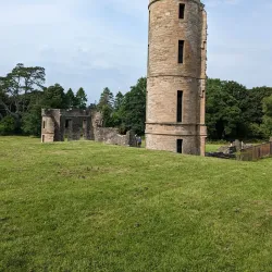 Eglinton Country Park - Dalry