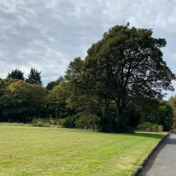 Eglinton Country Park - Dalry