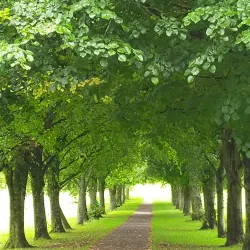 Eglinton Country Park - Dalry