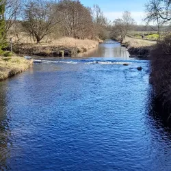 Eglinton Country Park - Dalry