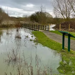 Garnock Floods Local Nature Reserve - Dalry