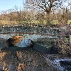 Garnock Floods Local Nature Reserve - Dalry
