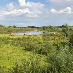 Garnock Floods Local Nature Reserve - Dalry