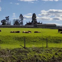 Garnock Floods Local Nature Reserve - Dalry