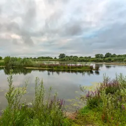 Garnock Floods Local Nature Reserve - Dalry
