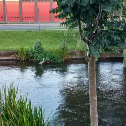 Riverside Park - Darlington