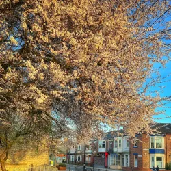 Riverside Park - Darlington