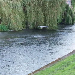 Riverside Park - Darlington