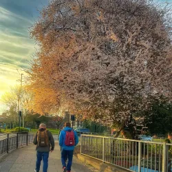Riverside Park - Darlington