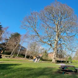 South Park - Darlington