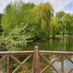 South Park - Darlington