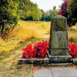 Darenth Country Park - Dartford