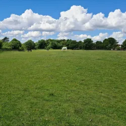 Darenth Country Park - Dartford