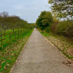 Darenth Country Park - Dartford
