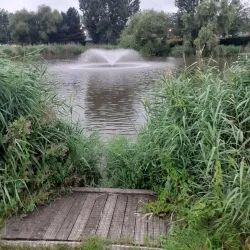 Dartford Market - Dartford