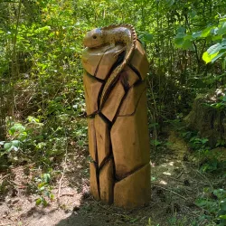 Joydens Wood Local Nature Reserve - Dartford