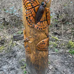 Joydens Wood Local Nature Reserve - Dartford