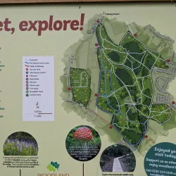 Joydens Wood Local Nature Reserve - Dartford