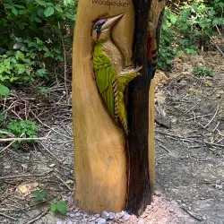 Joydens Wood Local Nature Reserve - Dartford