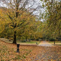 Derby Arboretum - Derby
