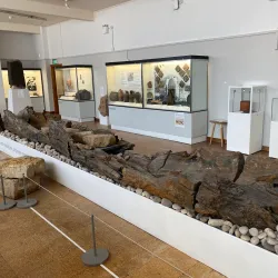 Derby Museum and Art Gallery - Derby