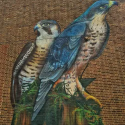 Derby Silk Mill (Museum of Making) - Derby