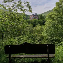 Castle Campbell - Dollar