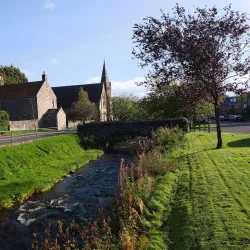 Dollar Academy - Dollar