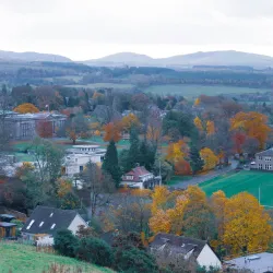 Dollar Academy - Dollar