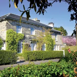 Dollar Academy - Dollar