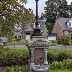 Dollar Academy - Dollar