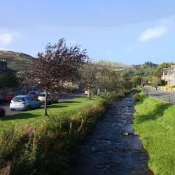 Dollar Academy - Dollar