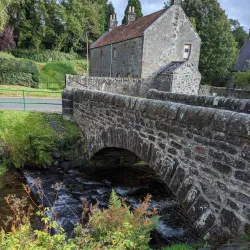 Dollar Academy - Dollar