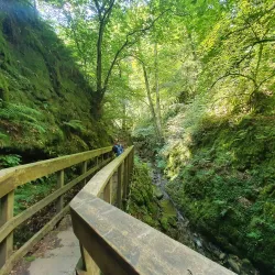 Dollar Glen - Dollar