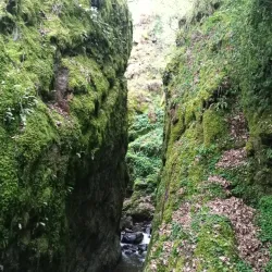 Dollar Glen - Dollar