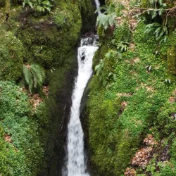 Dollar Glen - Dollar