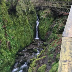 Dollar Glen - Dollar